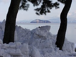 20051229kosei (6).jpg